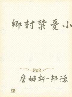 乡村禁爱小说封面