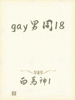 gay男同18