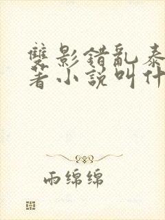 双影错乱泰剧原著小说叫什么名字