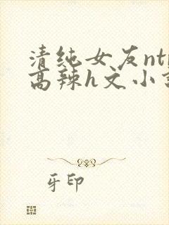 清纯女友ntr高辣h文小说封面