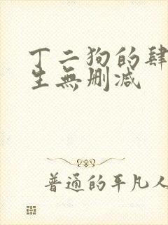 丁二狗的肆意人生无删减