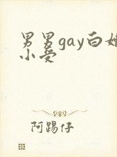 男男gay白嫩小受