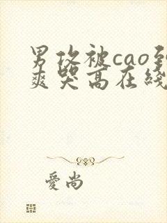 男攻被cao到爽哭高在线观看