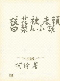 校花被老头伦流白浆h小说