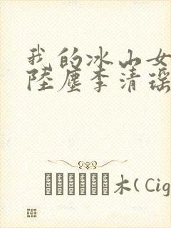 我的冰山女总裁陆尘李清瑶全集封面