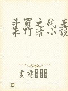 斗罗之我老婆是朱竹清小说