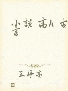 小说 高h 古言