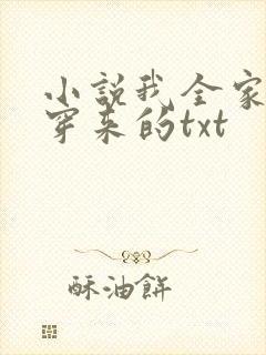 小说我全家都是穿来的txt