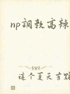 np调教高辣封面