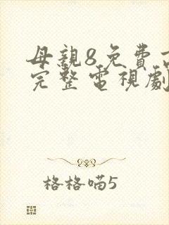 母亲8免费高清完整电视剧