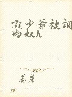 假少爷被调教成肉奴h