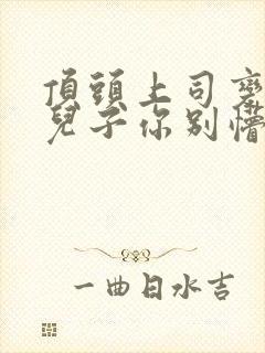 顶头上司变后妈儿子你别懵完整版