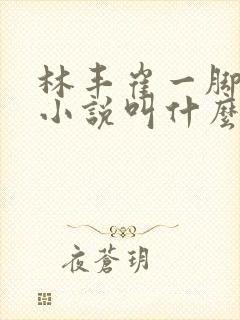 林丰崔一脚穿越小说叫什么名字