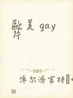 欧美 gay 片