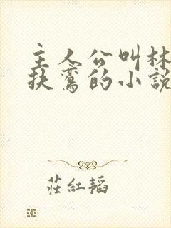 主人公叫林辰柳扶鸾的小说