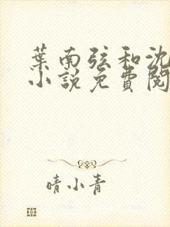 叶南弦和沈蔓歌小说免费阅读