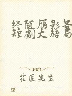 终随雁影各西东短剧大结局封面