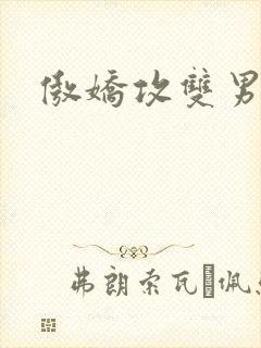 傲娇攻双男主