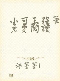 小可王强笔趣阁免费阅读封面
