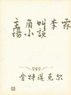 主角叫李霖的官场小说封面