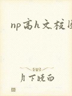 np高h文校园封面