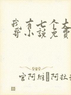 我有七个大佬哥哥小说免费阅读无弹窗
