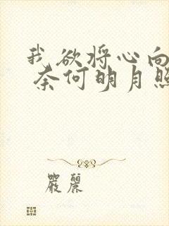 我欲将心向明月 奈何明月照沟渠
