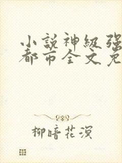 小说神级强者在都市全文免费阅读