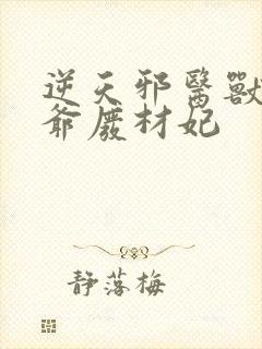 逆天邪医兽黑王爷废材妃