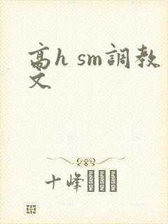 高h sm调教文