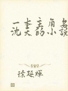 一本主角名字叫沈天的小说
