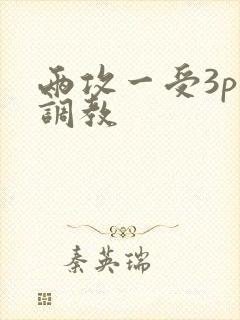 两攻一受3p～调教