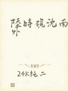 陆时砚沈南初番外