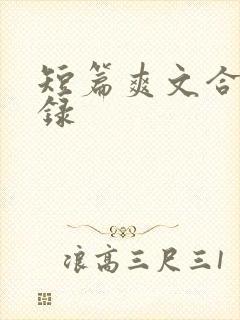 短篇爽文合集目录封面
