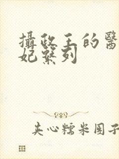 摄政王的医品狂妃系列封面
