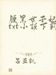 腹黑世子妃日常txt小说下载