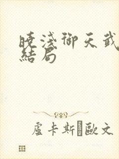 晓浅御天武帝大结局