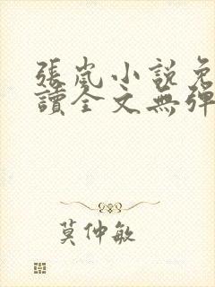张岚小说免费阅读全文无弹窗