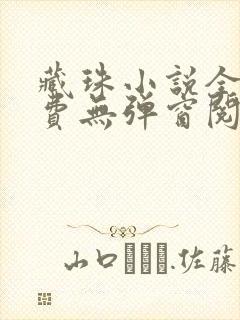 藏珠小说全文免费无弹窗阅读