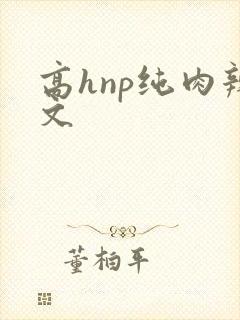 高hnp纯肉辣文