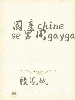 国产chinese男同gaygay网站