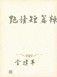 艳情短篇辣文