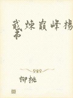 武炼巅峰杨开徒弟