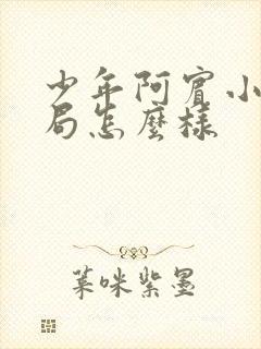 少年阿宾小说结局怎么样