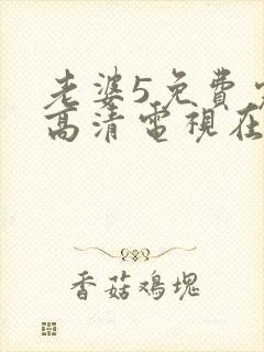 老婆5免费完整高清电视在线看大陆剧