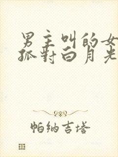 男主叫的女尊:孤对白月光强取豪夺小说