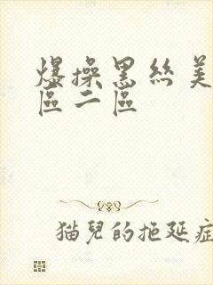 爆操黑丝美女一区二区