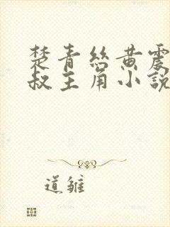 楚青丝黄震和陈叔主角小说免费阅读全文