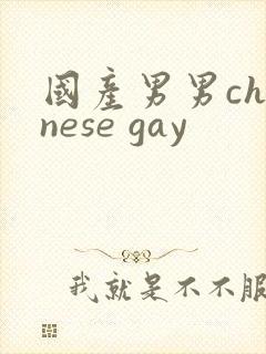 国产男男chinese gay封面