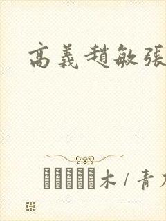 高义赵敏张倩封面
